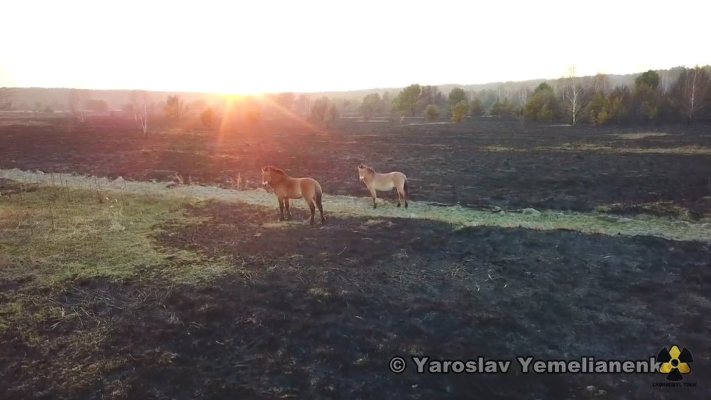 Fotó: Yaroslav Yemelianenko